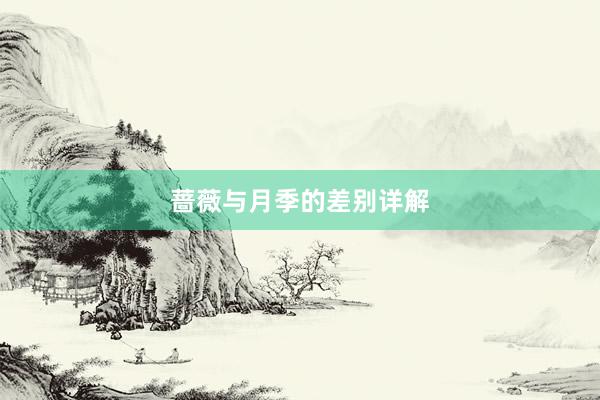 蔷薇与月季的差别详解