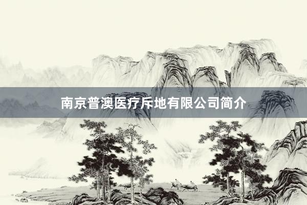 南京普澳医疗斥地有限公司简介