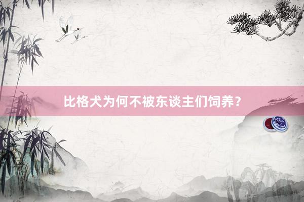 比格犬为何不被东谈主们饲养？