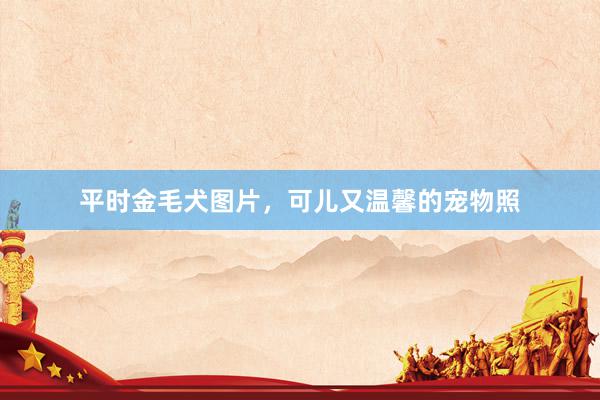 平时金毛犬图片，可儿又温馨的宠物照