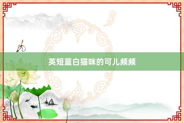 英短蓝白猫咪的可儿频频