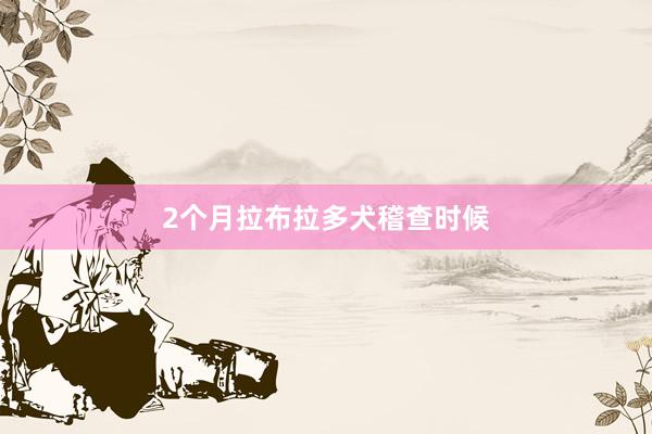 2个月拉布拉多犬稽查时候