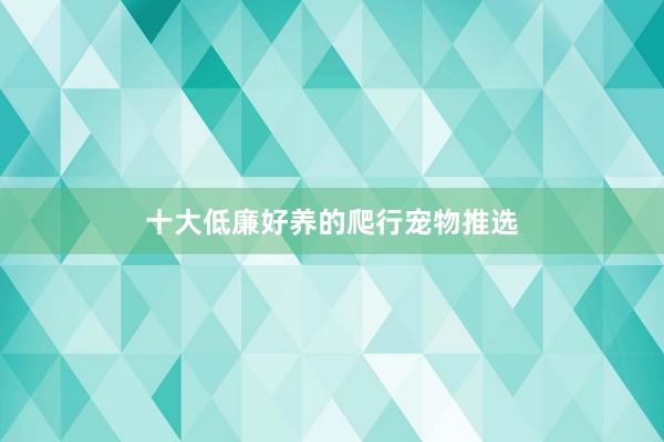 十大低廉好养的爬行宠物推选